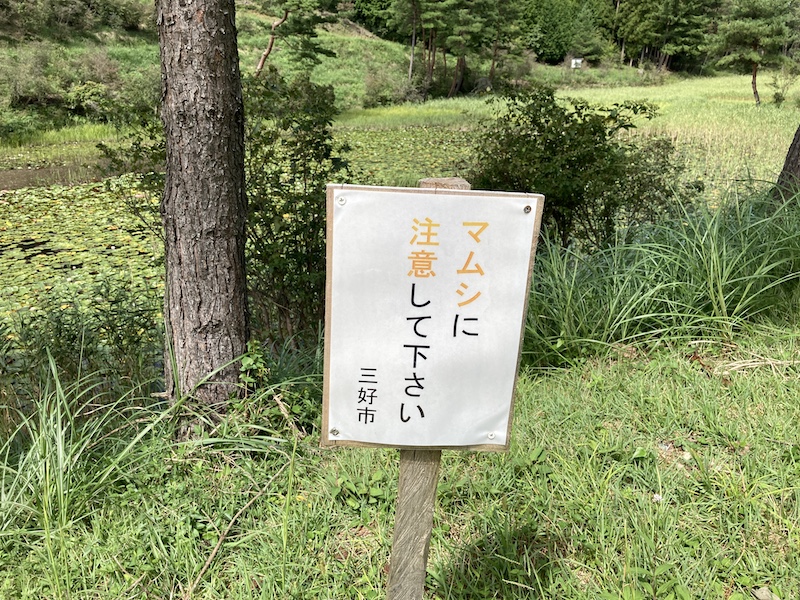 f:id:dachikusakun:20200919165106j:plain