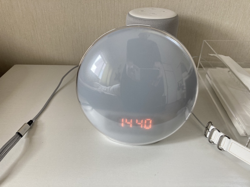 f:id:dachikusakun:20210115232630j:plain