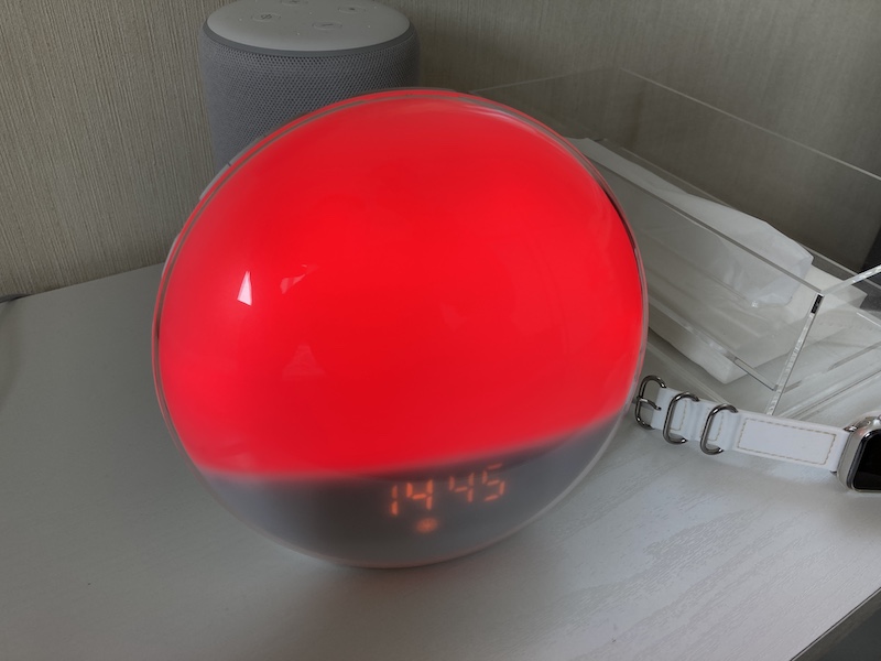 f:id:dachikusakun:20210115232638j:plain