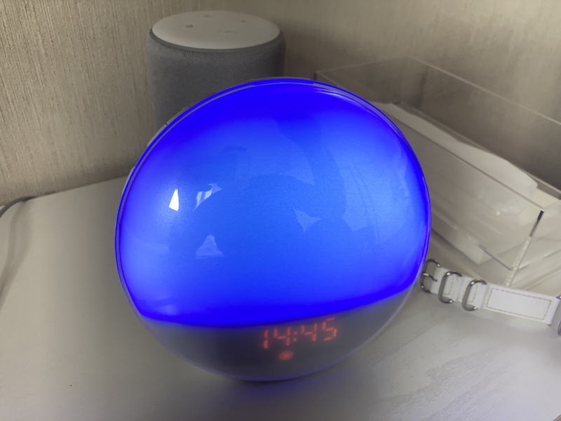 f:id:dachikusakun:20210115232643j:plain