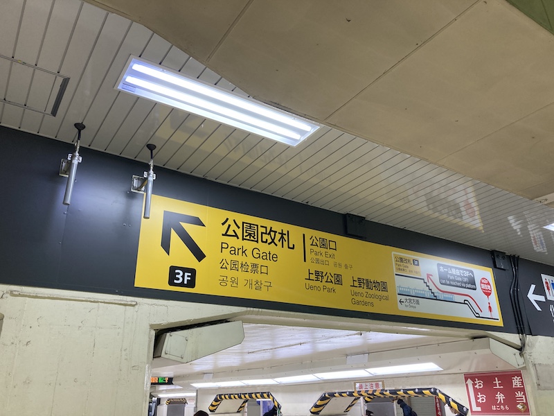 f:id:dachikusakun:20210215180327j:plain