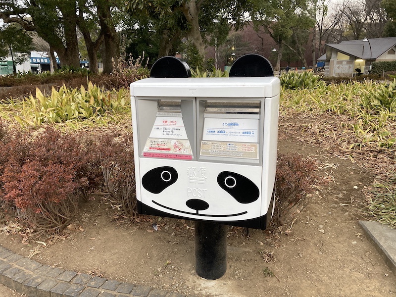 f:id:dachikusakun:20210215180350j:plain