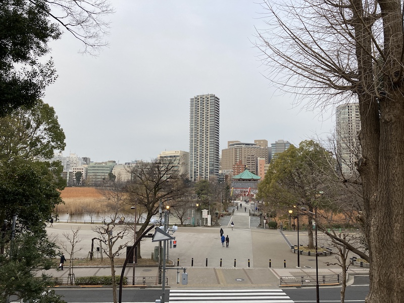 f:id:dachikusakun:20210215180408j:plain