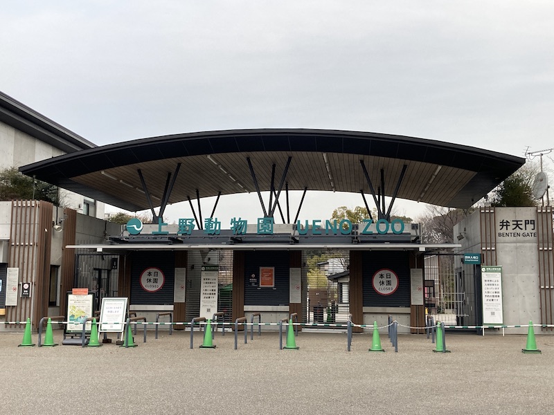 f:id:dachikusakun:20210215180412j:plain