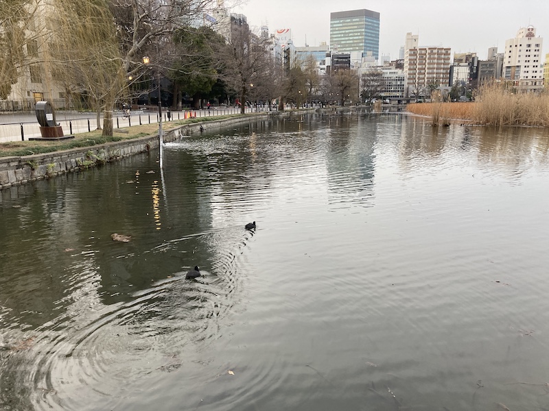 f:id:dachikusakun:20210215180417j:plain