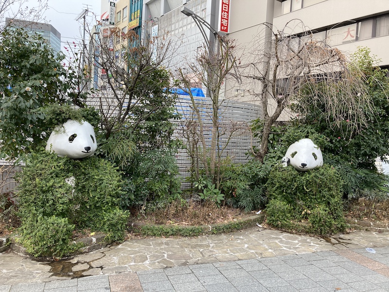 f:id:dachikusakun:20210215180430j:plain