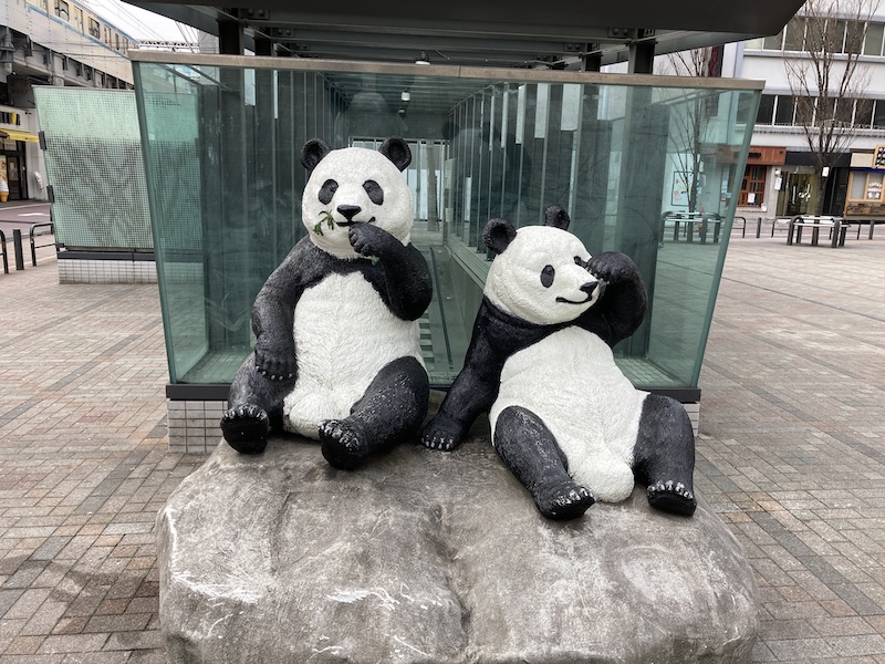 f:id:dachikusakun:20210215180511j:plain