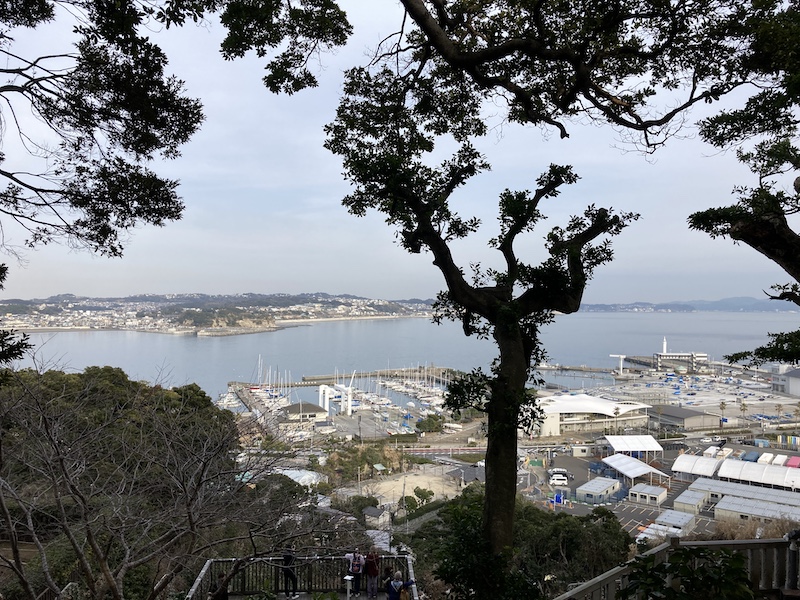 f:id:dachikusakun:20210215181143j:plain