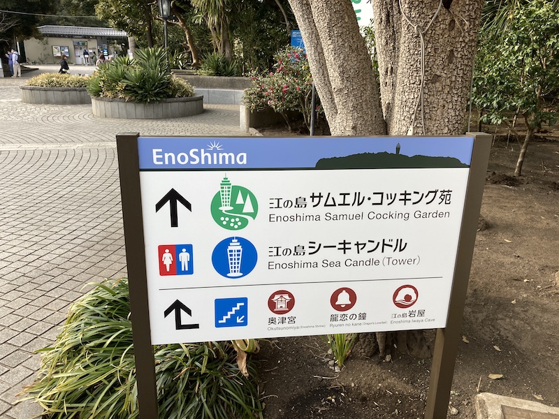 f:id:dachikusakun:20210215181147j:plain