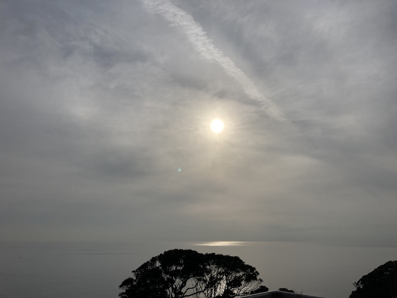 f:id:dachikusakun:20210215181204j:plain