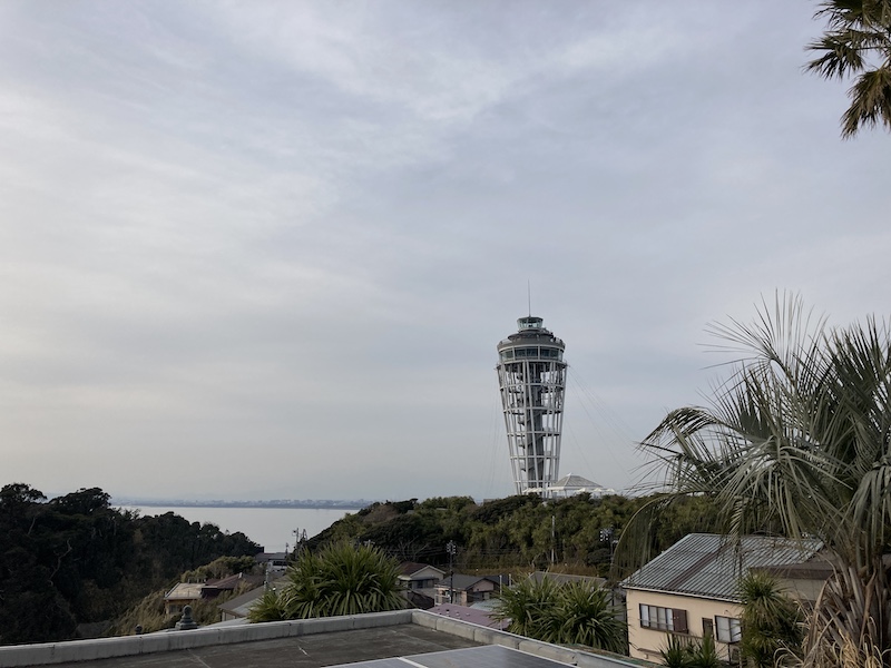 f:id:dachikusakun:20210215181208j:plain