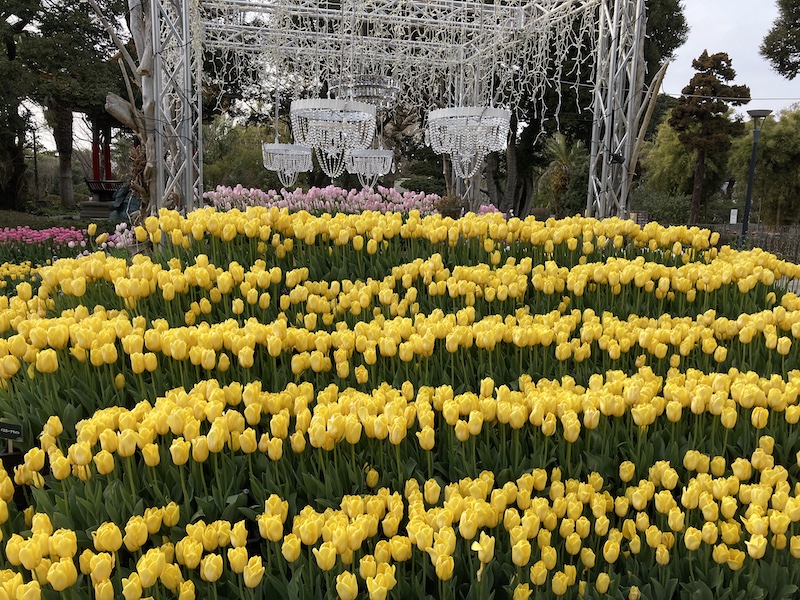 f:id:dachikusakun:20210215181212j:plain