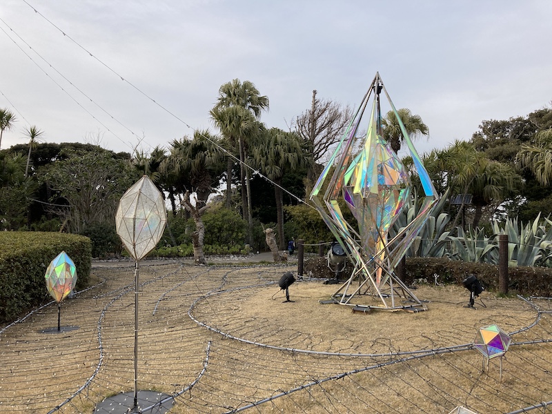 f:id:dachikusakun:20210215181223j:plain