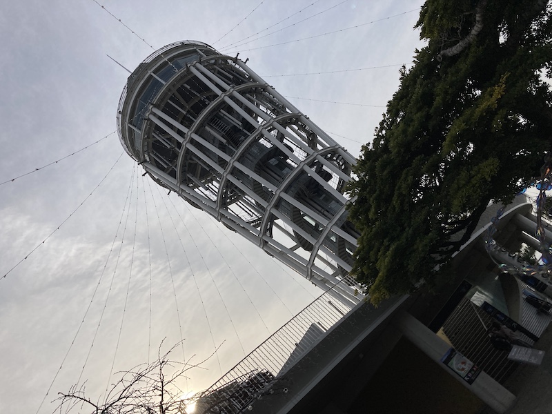 f:id:dachikusakun:20210215181228j:plain