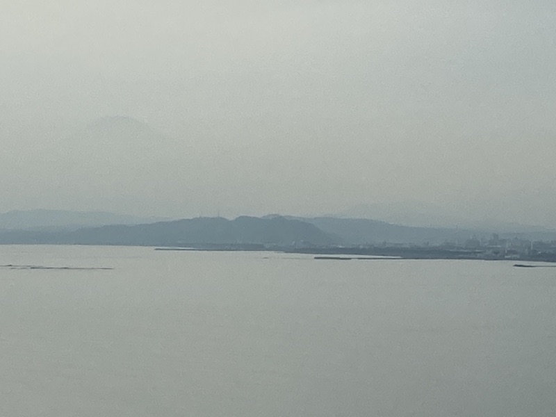 f:id:dachikusakun:20210215181250j:plain