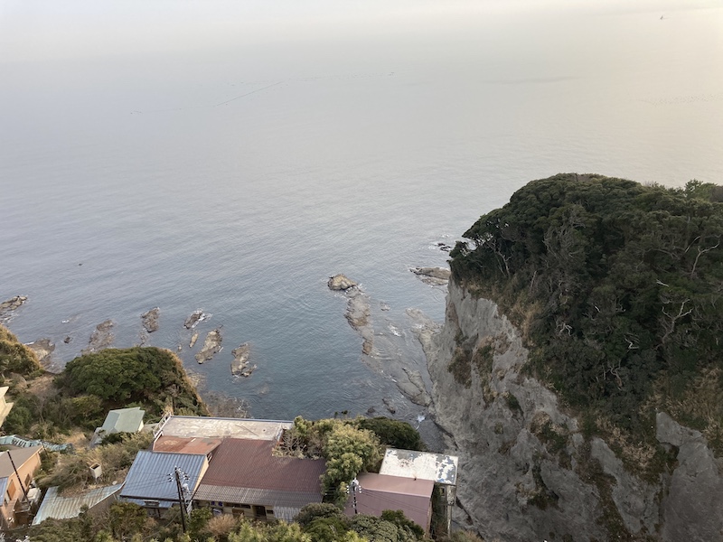 f:id:dachikusakun:20210215181254j:plain