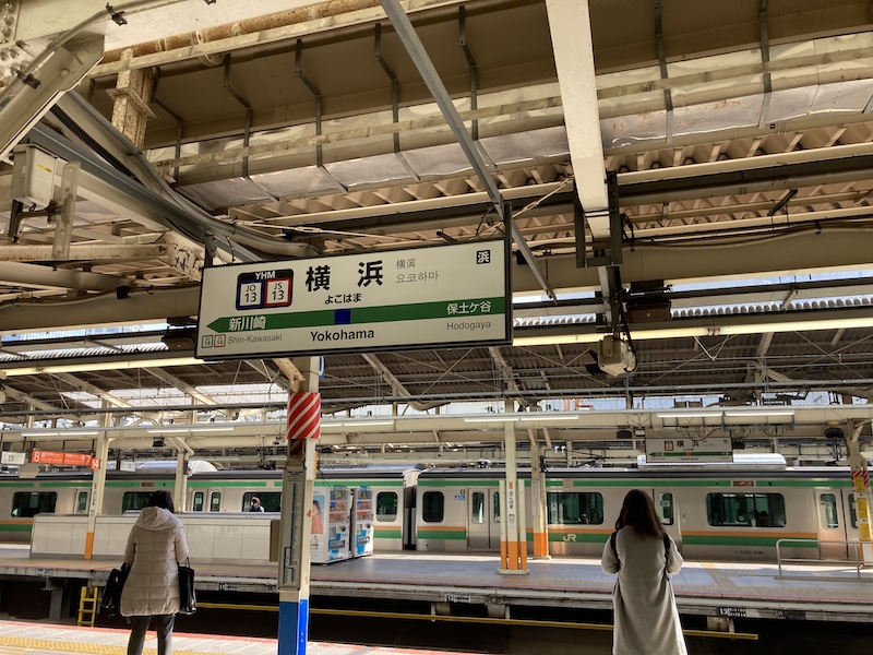 f:id:dachikusakun:20210215182507j:plain