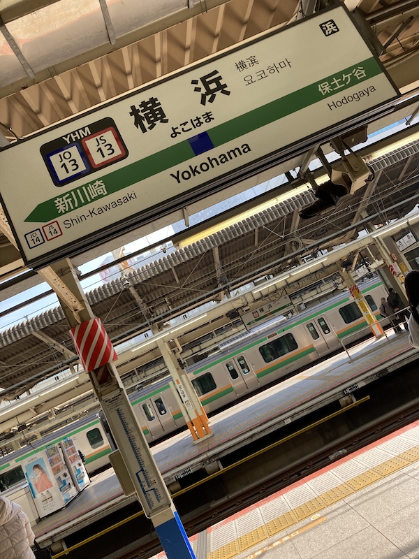 f:id:dachikusakun:20210215182630j:plain