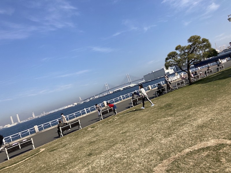 f:id:dachikusakun:20210215182827j:plain