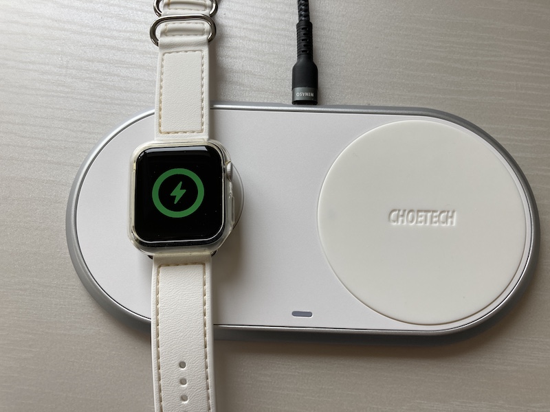f:id:dachikusakun:20210217125729j:plain