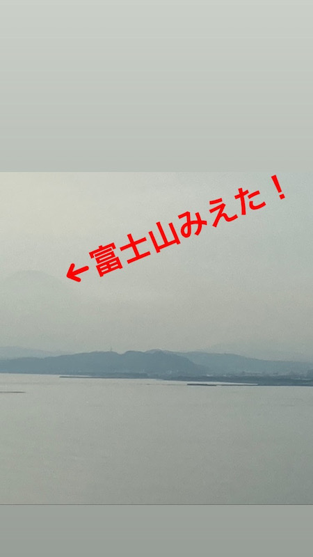 f:id:dachikusakun:20210225193514j:plain