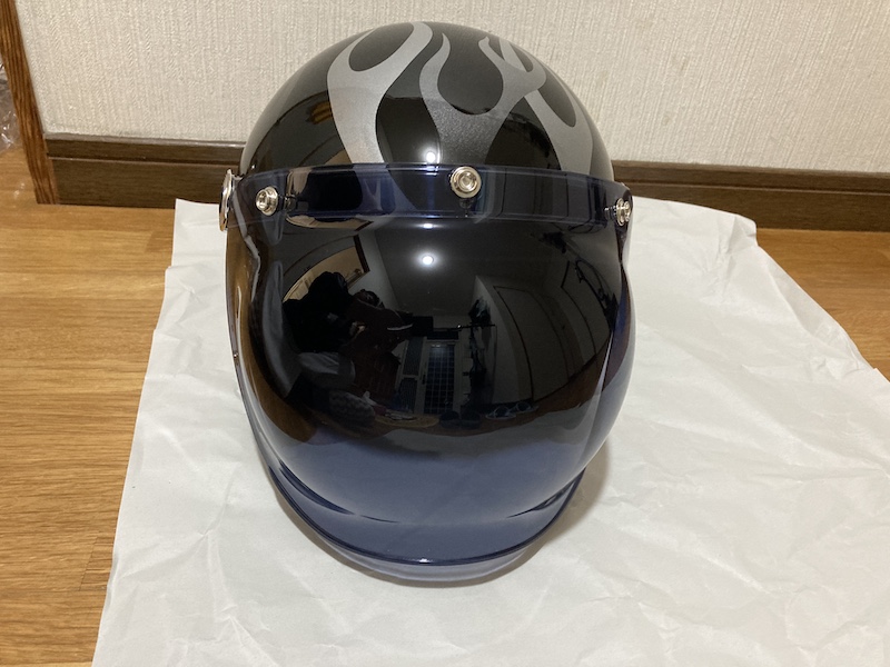 f:id:dachikusakun:20210309202842j:plain
