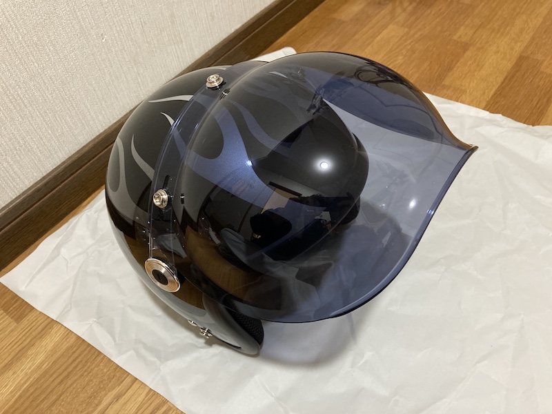 f:id:dachikusakun:20210309202847j:plain