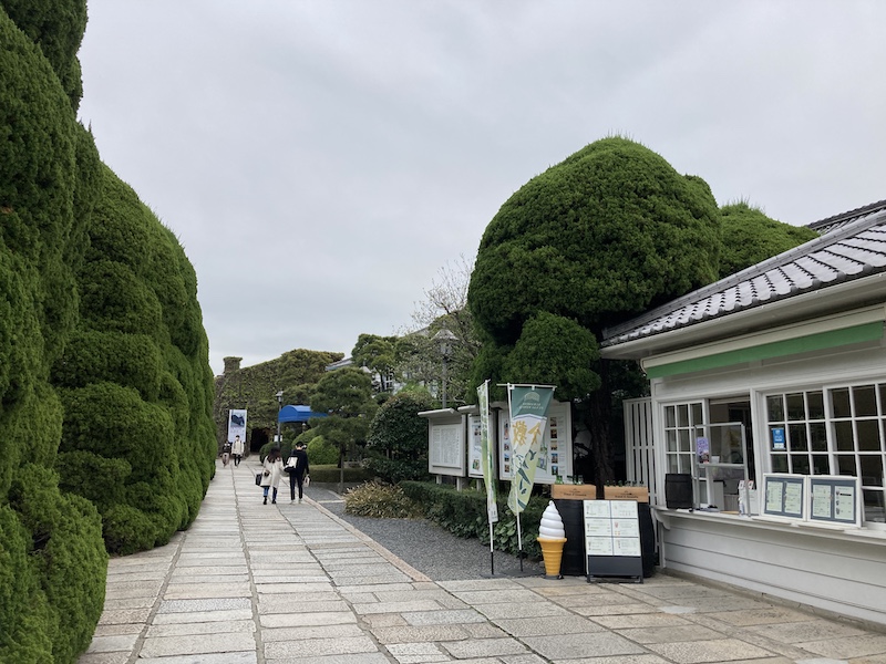 f:id:dachikusakun:20210506232757j:plain
