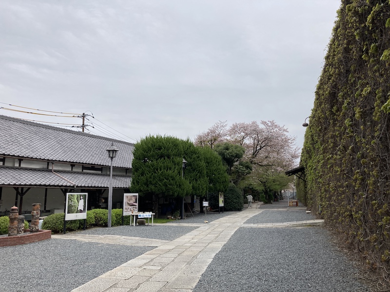 f:id:dachikusakun:20210506232940j:plain
