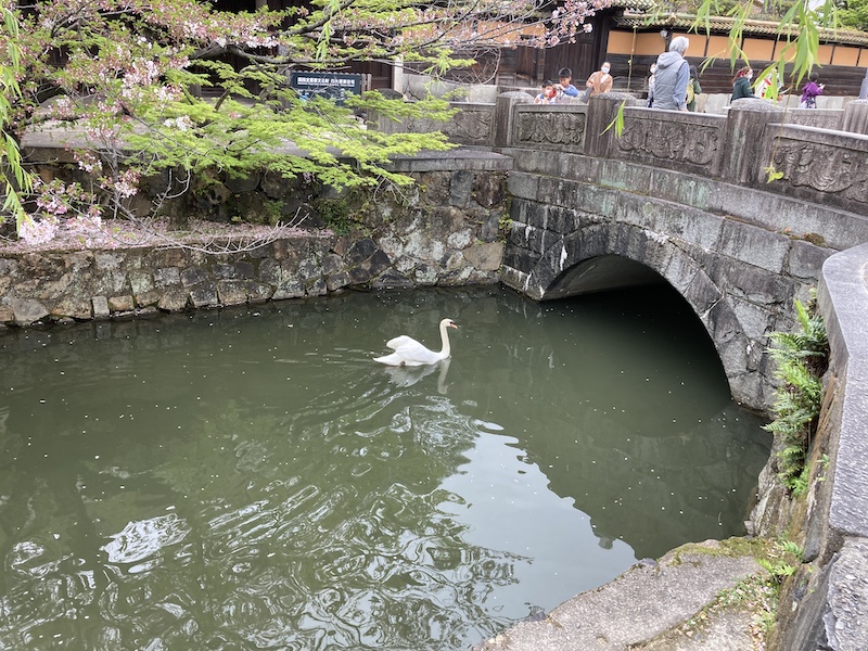 f:id:dachikusakun:20210506233035j:plain