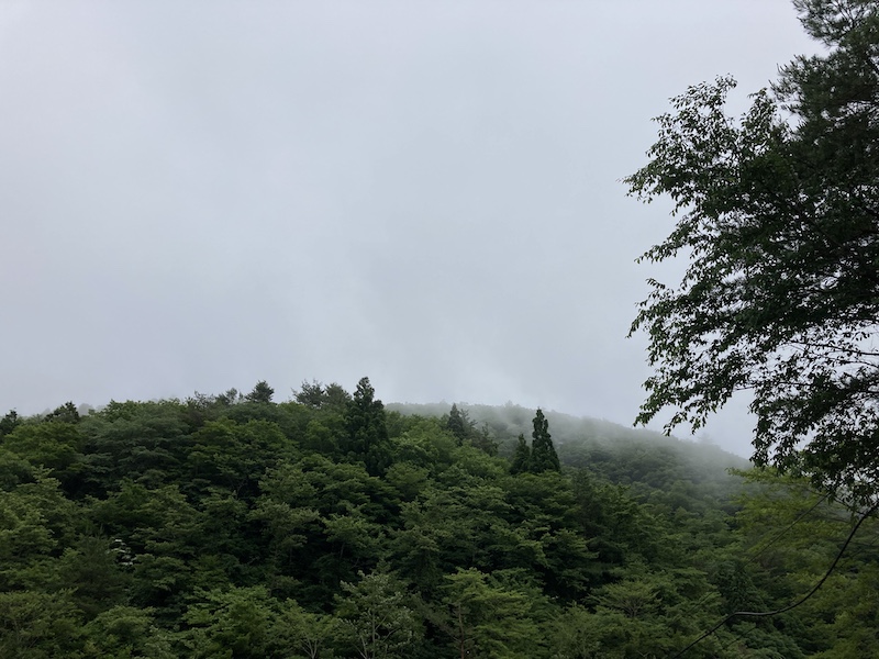 f:id:dachikusakun:20210615183452j:plain