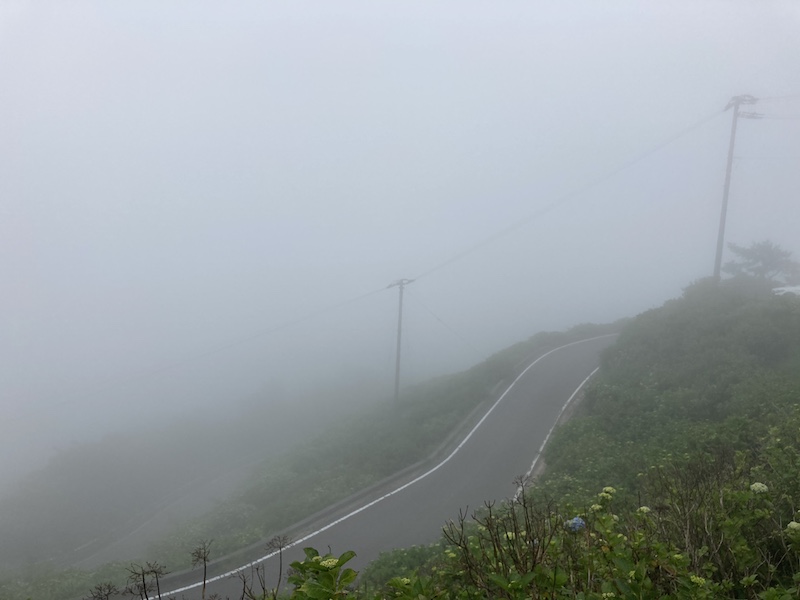 f:id:dachikusakun:20210615183505j:plain