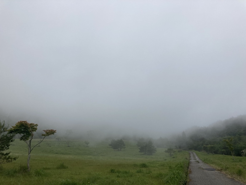 f:id:dachikusakun:20210615183534j:plain