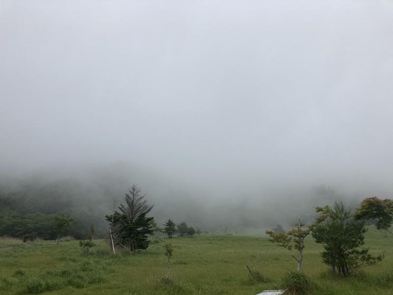 f:id:dachikusakun:20210615183538j:plain
