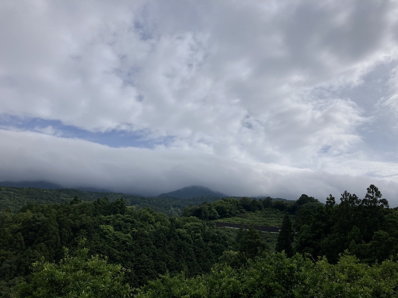 f:id:dachikusakun:20210615183556j:plain