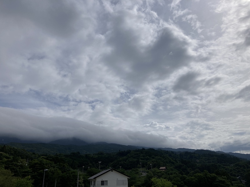 f:id:dachikusakun:20210615183604j:plain
