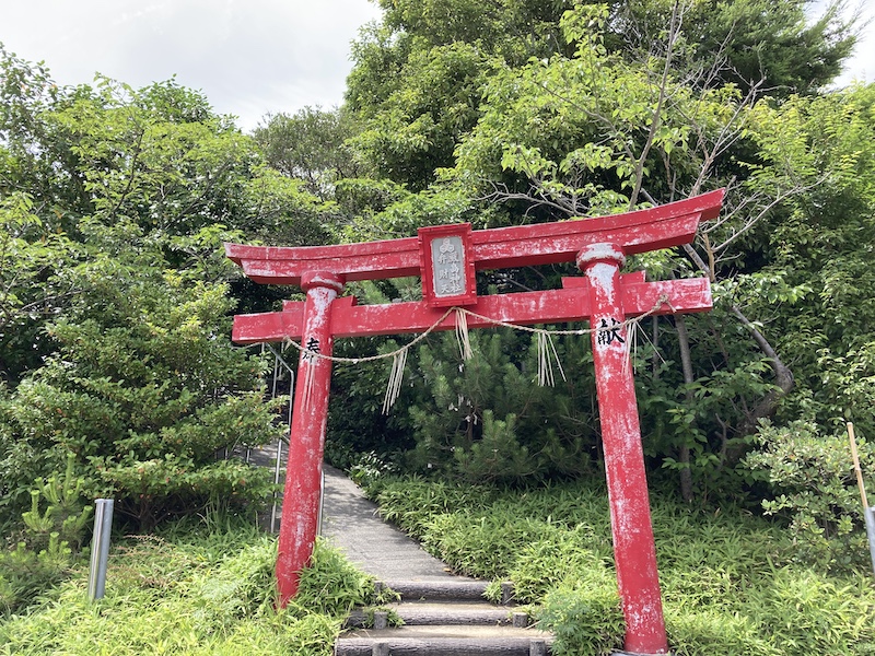 f:id:dachikusakun:20210620174540j:plain