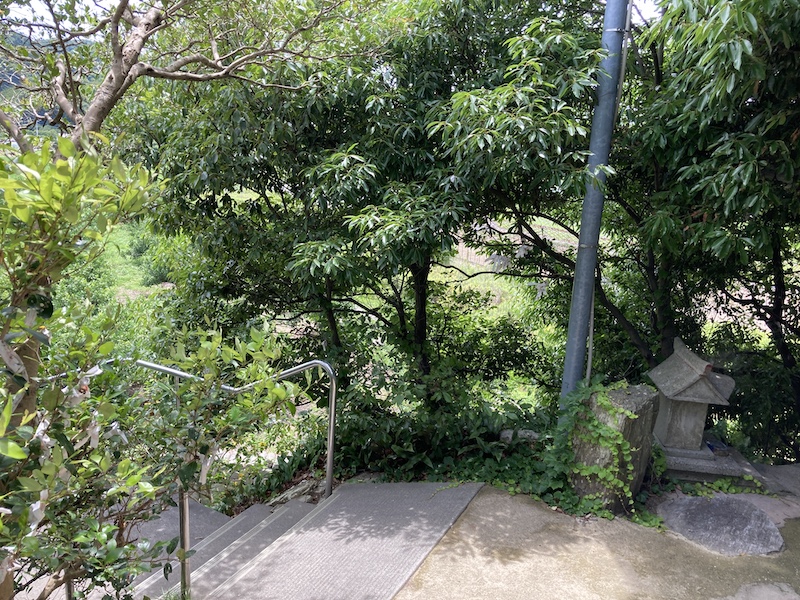 f:id:dachikusakun:20210620174545j:plain