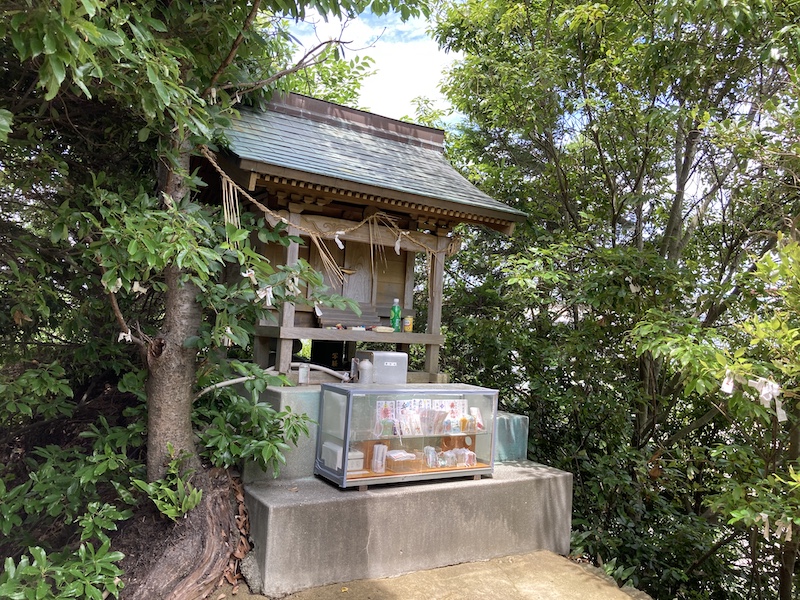 f:id:dachikusakun:20210620174551j:plain