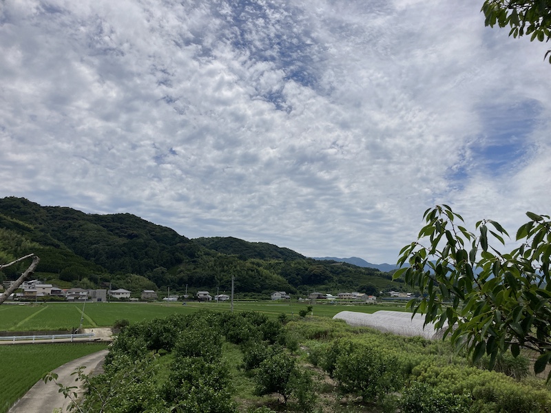 f:id:dachikusakun:20210620174600j:plain