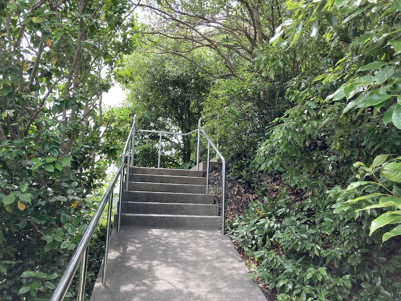 f:id:dachikusakun:20210620174604j:plain