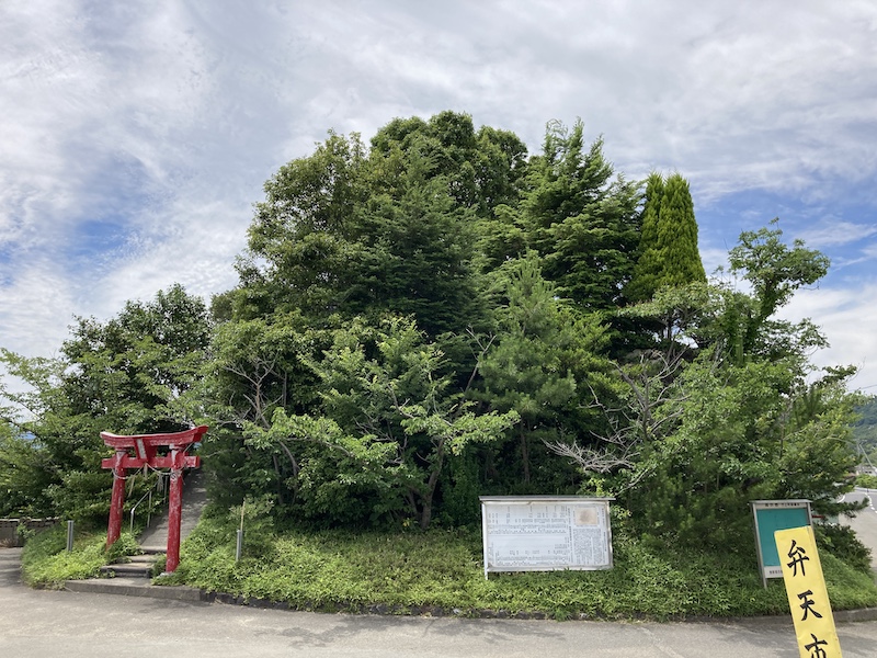 f:id:dachikusakun:20210620174609j:plain