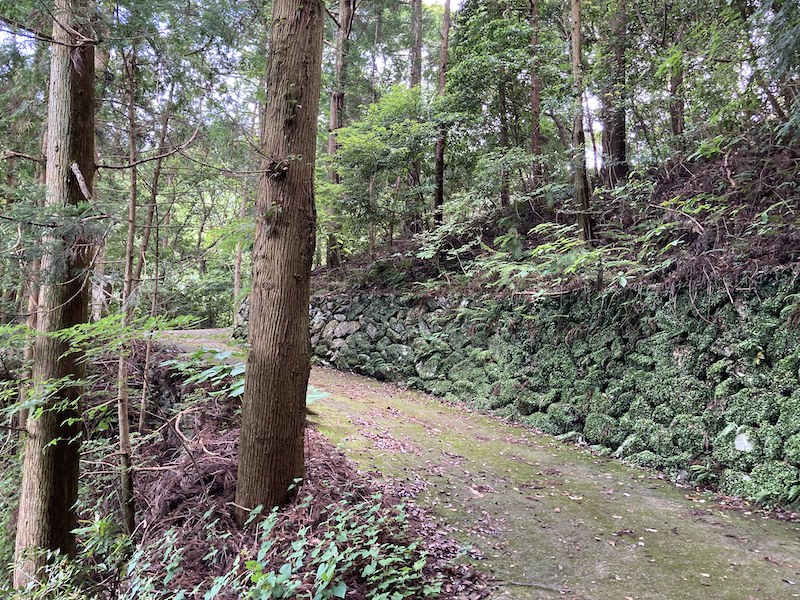 f:id:dachikusakun:20210620174642j:plain