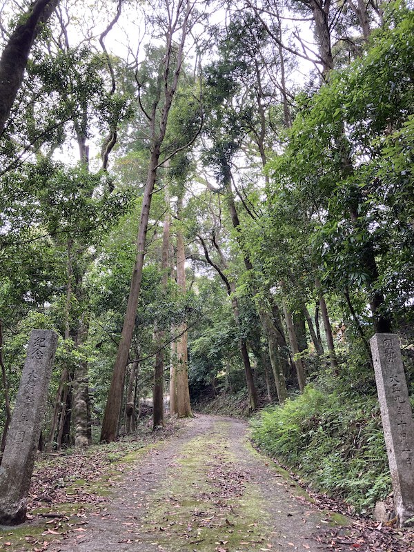 f:id:dachikusakun:20210620174646j:plain