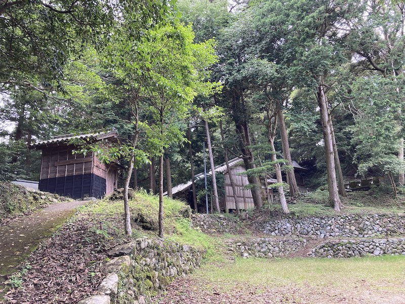 f:id:dachikusakun:20210620174655j:plain