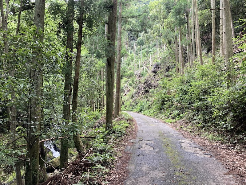 f:id:dachikusakun:20210620174721j:plain