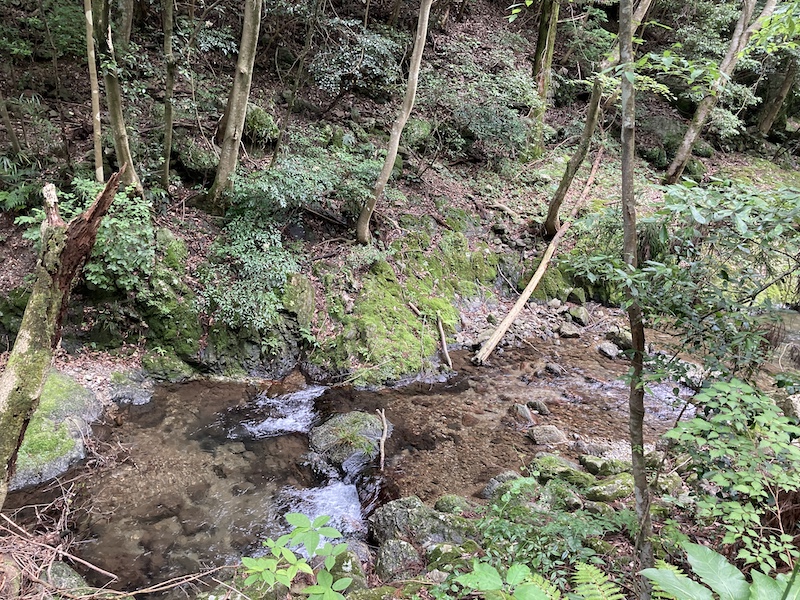 f:id:dachikusakun:20210620174725j:plain