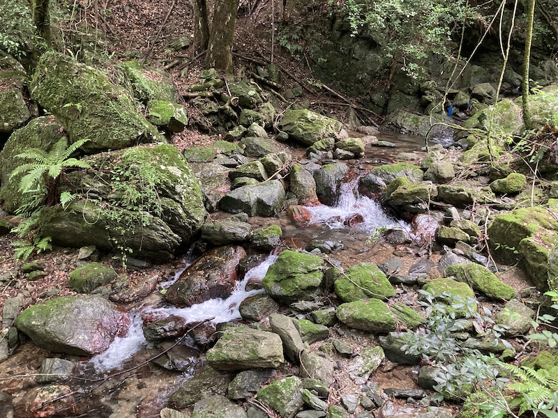 f:id:dachikusakun:20210620174734j:plain