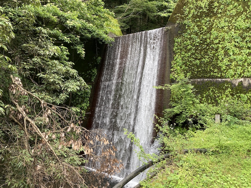 f:id:dachikusakun:20210620174738j:plain