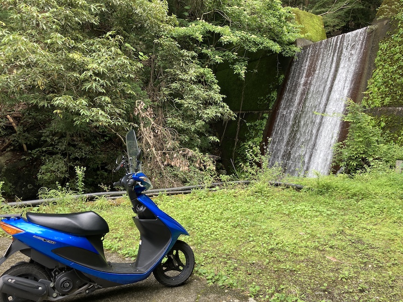 f:id:dachikusakun:20210620174742j:plain